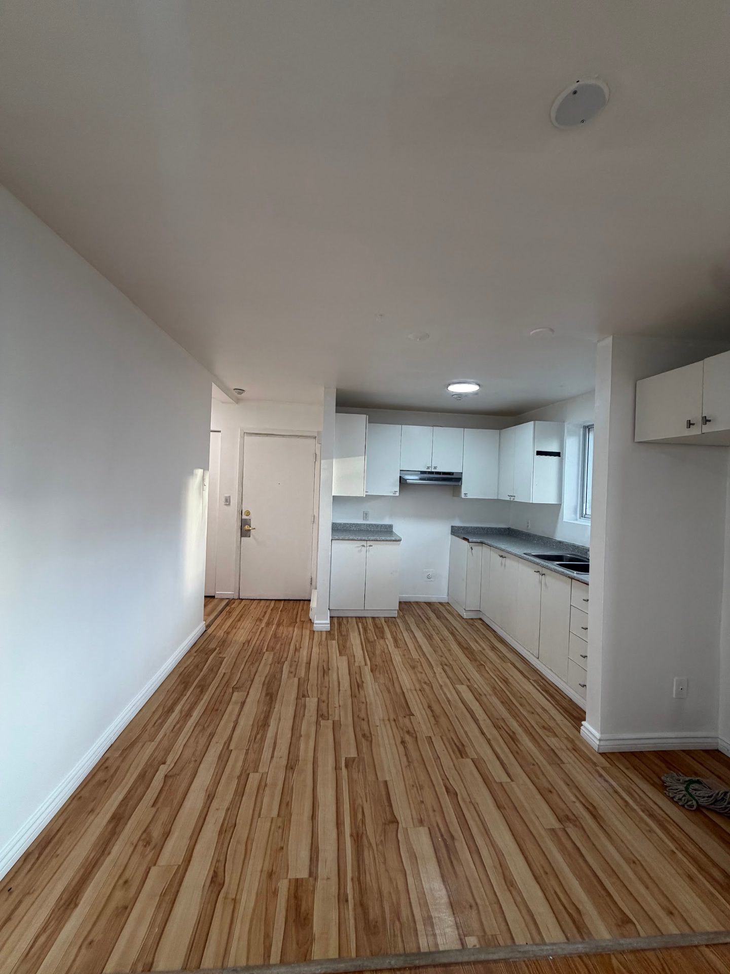 153 rue Landry, app. 1 (4½, sous-sol) — Photo 2