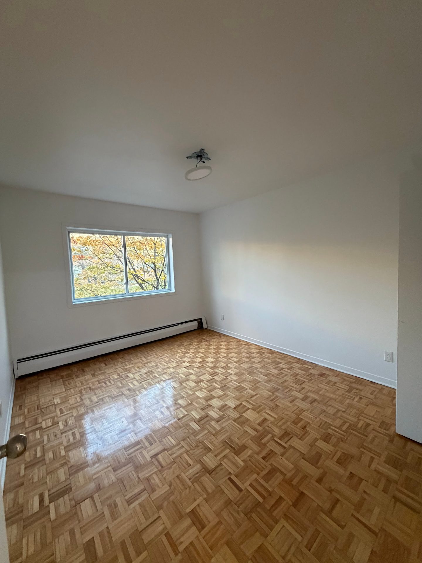 9950 Papineau, app. 201 (3½) — Photo 3