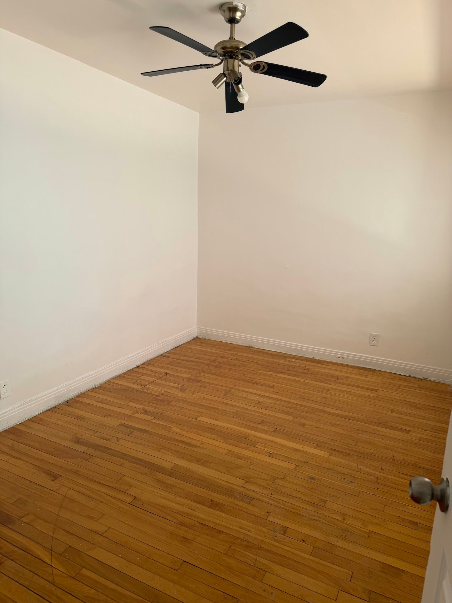 4206 Bélanger, app. 4 (3½) — Photo 4